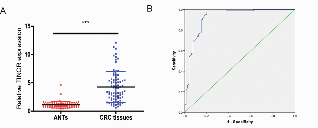 Plasma levels of TINCR were upregulated in CRC patients. (A) The relative levels of TINCR in CRC patients and healthy controls. All data were normalized to GAPDH. (B) ROC curves for TINCR in 80 patients with CRC and 80 healthy controls. ***P
