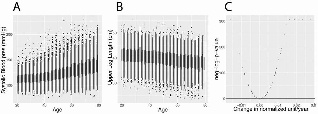Changes in biomarkers with age. (A) Systolic blood pressure. Example of a biomarker that increases with age. (B) Upper leg length. Example of a biomarker that significantly decreases with age. (See discussion for explanation about the generational effect). (C) Volcano plot of the significance of the changes associated with age for the 50 biomarkers. The black horizontal line corresponds to the 0.05 significant threshold, after Bonferroni correction.