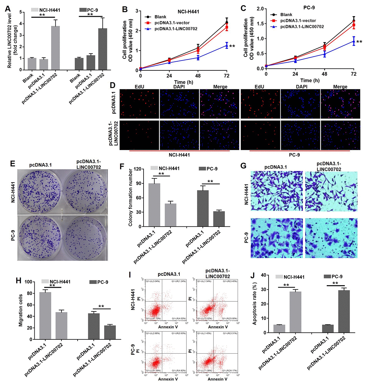 LINC00702 suppresses proliferation and invasion in non-small cell lung ...