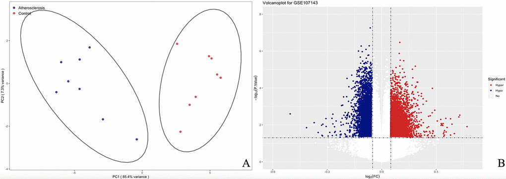 The PCA and volcanoplot for DMPs. (A) For the PCA map, the red strip represents the healthy control and the blue strip atherosclerosis samples. (B) For the valcano plot, the two vertical lines are the 0.05-fold change boundaries and the horizontal line is the statistical significance boundary (P 