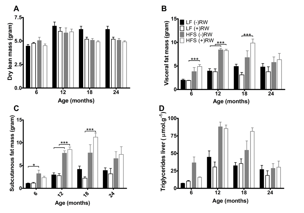 (A) Dry lean mass, was higher in sedentary compared to running wheel mice (p+ SEM. (B) Visceral fat mass at the four different ages. Data are averages from n=7-8 mice per group; + SEM ***pC) Subcutaneous fat mass at the four different ages. Data are averages from n-7-8 mice per group; ± SEM ***pD) Liver triglycerides, increased with age (p+ SEM.