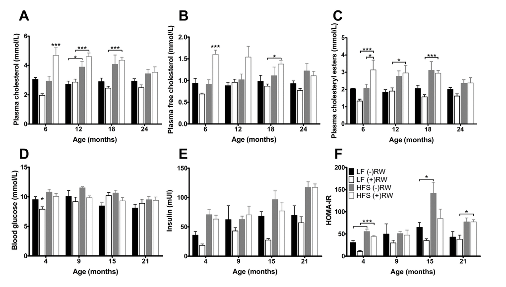 Glucose and cholesterol blood plasma results. (A) Blood glucose after 6 hours of fasting; (B) Blood insulin after 6 hours of fasting, increased with age and eating a HFS diet and decreased with having access to a running wheel; (C) HOMA-IR index was improved in mice on a LF diet; (D) Total plasma cholesterol was higher in mice on a HFS diet; (E) free plasma cholesterol was highest in mice on a HFS diet in combination with access to a running wheel (F) plasma cholesteryl esters was higher in mice on a HFS diet. Data are averages from n=6-8 mice per group; + SEM. *p