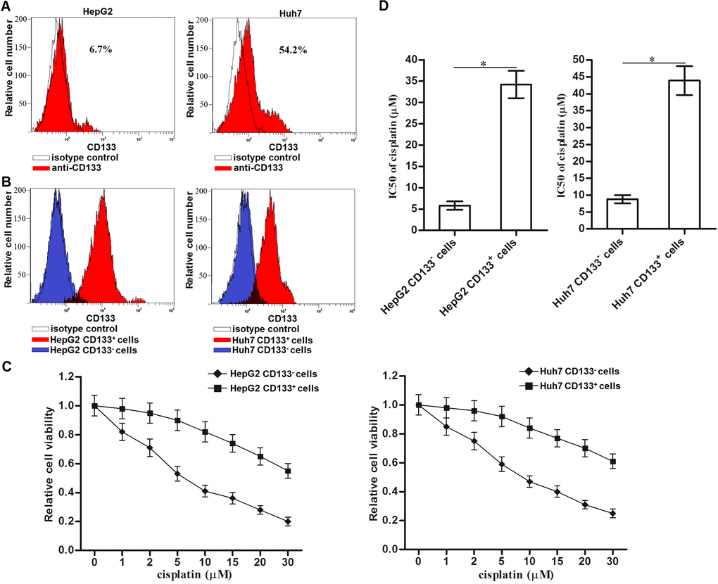 Cisplatin resistance of CD133+ HCC cells. (A) CD133+ HCC cells were identified by using CD133 antibody in HepG2 and Huh7 cells. (B) Purity of sorted CD133+ and CD133- HepG2 and Huh7 cells was tested by flow cytometry. (C) CD133+ and CD133- HepG2 and Huh7 cells were treated with different concentrations of cisplatin (0~30 μM) for 48 h. Cell viability curve was conducted by MTT assays. (D) IC50 of cisplatin to CD133+ and CD133- HepG2 and Huh7 cells was calculated according to the MTT assays. *P