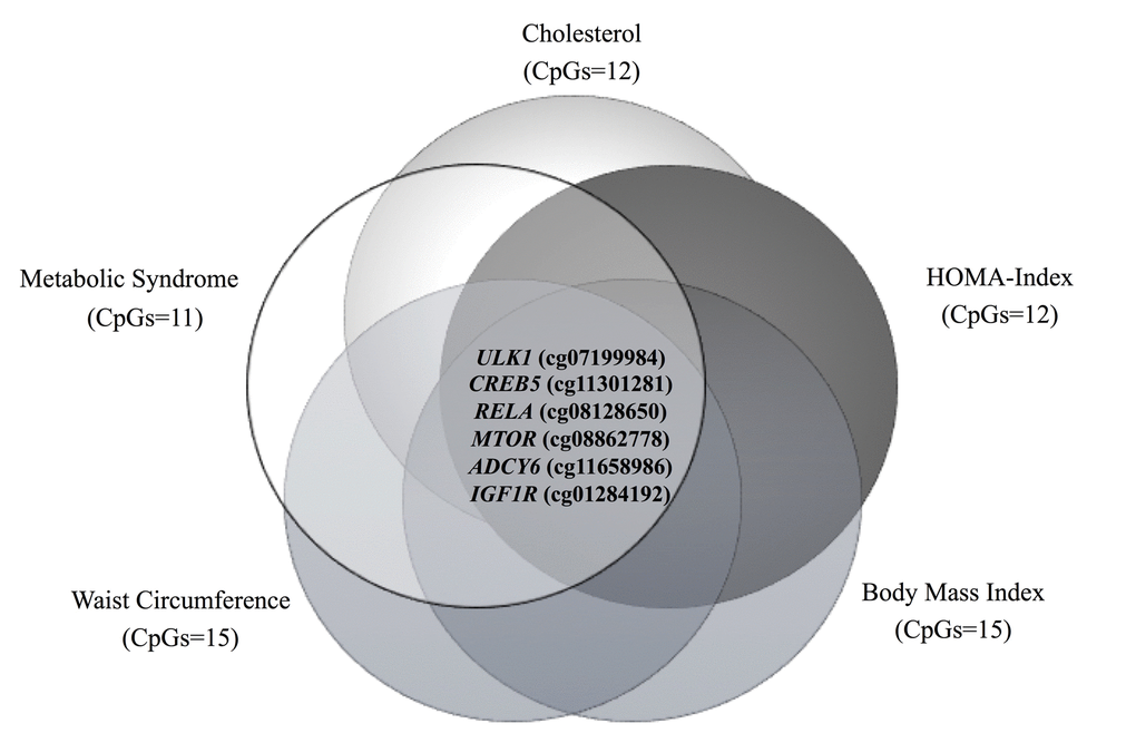 Venn diagram showing the common CpG sites differentially methylated between the different metabolic disturbances.