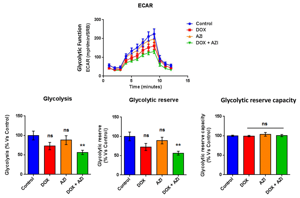 Combination of low-dose Doxycycline and Azithromycin reduces glycolysis and glycolytic reserve. The metabolic profile of MCF7 cell monolayers pre-treated with the combination of 1 μM Doxycycline and 1 μM Azithromycin for 3 days was assessed using the Seahorse XFe96 analyzer. **p 