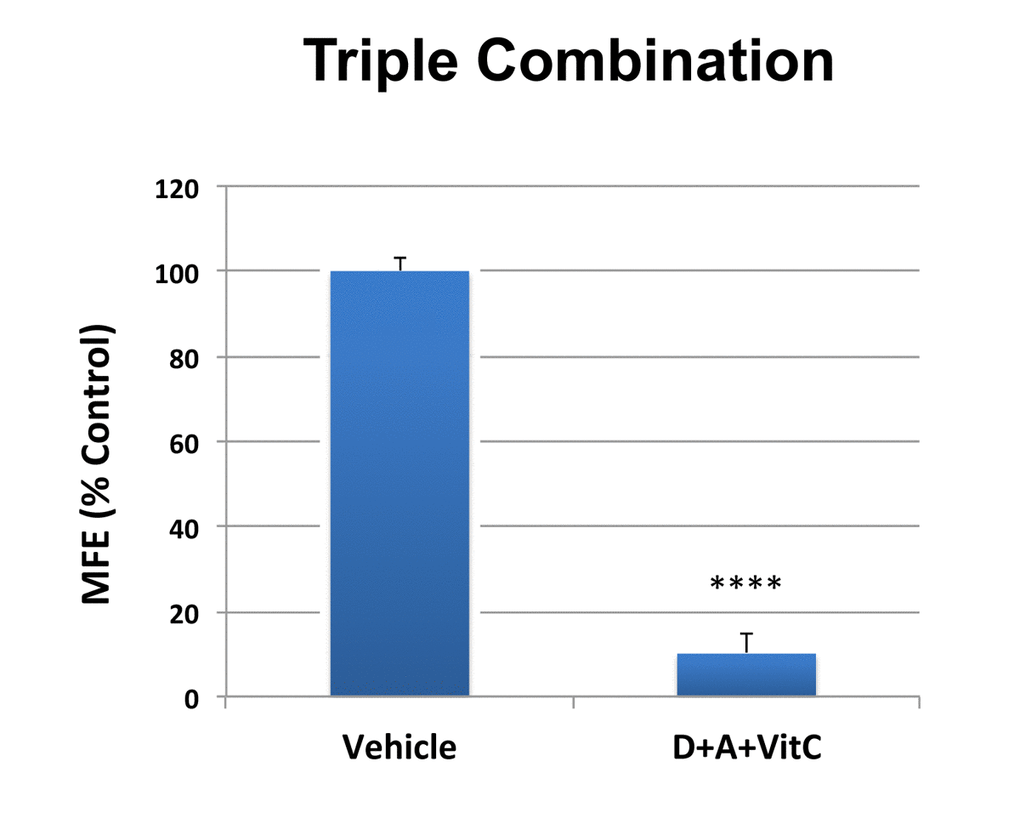 MCF7 3D mammosphere formation is extremely sensitive to inhibition by combined treatment with Doxycycline [1 μM], Azithromycin [1 μM] and Vitamin C [250 μM] (D+A+VitC). Bar graphs are shown as the mean ± SD, t-test, two-tailed. Note that approximately 90% inhibition was observed with the triple combination. ****p 