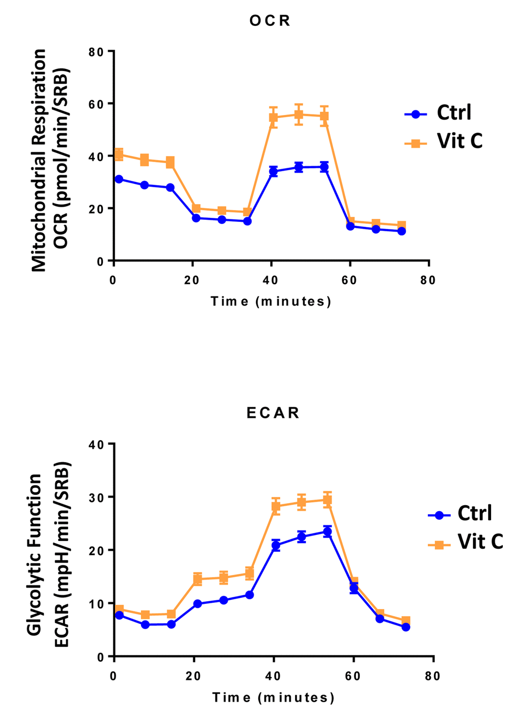 Low-dose Vitamin C alone increases both mitochondrial metabolism and glycolysis: Seahorse profiles. The metabolic profile of MCF7 cell monolayers pre-treated with 250 μM Vitamin C alone for 3 days was assessed using the Seahorse XFe96 analyzer. Note that treatment with 250 μM Vitamin C significantly increased both mitochondrial metabolism and glycolysis in MCF7 cancer cells. These observations are consistent with the idea that Vitamin C acts as a mild pro-oxidant and stimulates mitochondrial biogenesis, driving increased mitochondrial metabolism.