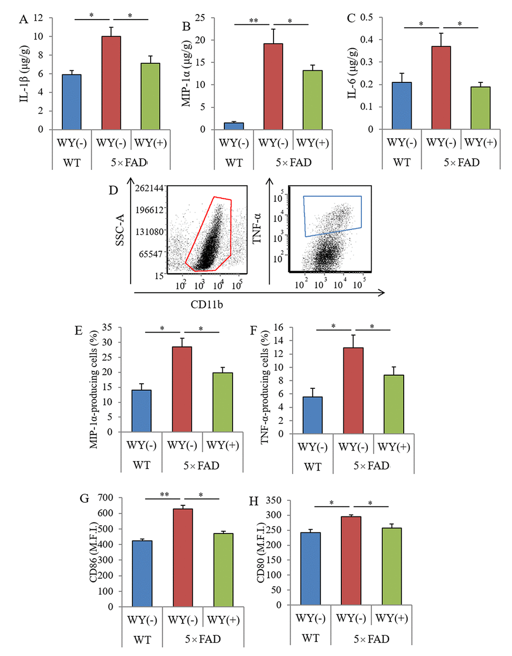 Effects of WY peptides on inflammation and the activation of microglia in 5×FAD mice. For 3 months, 2.5-month-old transgenic 5×FAD and wild-type male mice were fed a diet with or without 0.05% w/w WY peptide. (A–C) The levels of IL-1β, MIP-1α, and IL-6 in the hippocampus, respectively. Data represent the means ± SEM of 12 wild-type mice, 11 control transgenic mice, and 12 transgenic mice fed with the diet containing WY peptide. (D) Characterization of CD11b-positive microglia in the brain isolated with MACS by flow cytometry. (E, F) Ratio of MIP-1α- and TNF-α-producing cells to CD11b-positive cells, respectively. (G, H) Expressions of CD80 and CD86 on CD11b-positive cells, respectively. M.F.I. is the mean fluorescent intensity. Data represent the means ± SEMs of 6 mice per group. p-values shown in the graph were calculated by one-way ANOVA followed by the Tukey–Kramer test. *p p 
