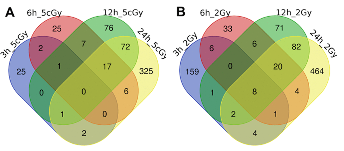 Replicative And Radiation-induced Aging: A Comparison Of Gene ...