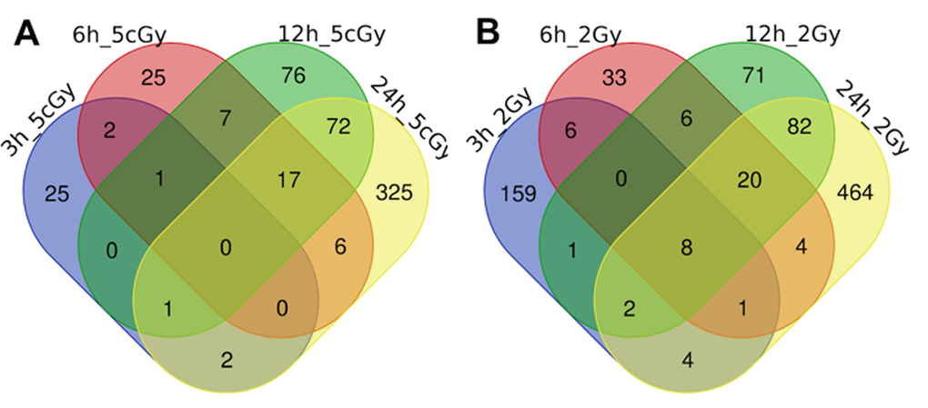 Venn diagrams, illustrating overlapping effects (up-regulated genes) of IR at different times of exposure: 3, 6, 12, 24 hours for the doses 5 cGy (A) and 2 Gy (B). Numbers indicate the amount of common/unique differentially expressed genes for the studied groups (Table S1).