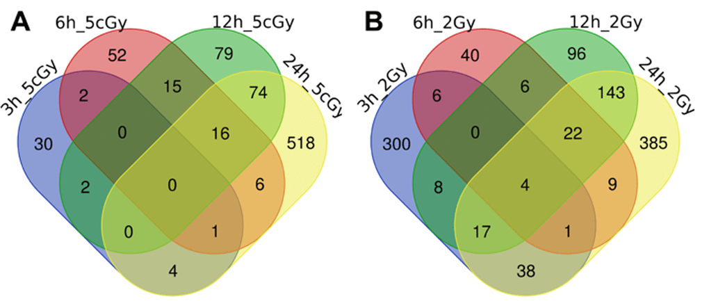Venn diagrams, illustrating overlapping effects (down-regulated genes) of IR at different times of exposure: 3, 6, 12, 24 hours for the doses 5 cGy (A) and 2 Gy (B). Numbers indicate the amount of common/unique differentially expressed genes for the studied groups (Table S2).