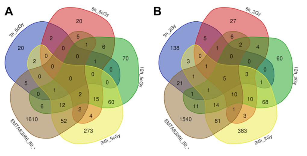 Venn diagrams, illustrating overlapping effects (up-regulated genes) of replicative aging and IR at different times of exposure: 3, 6, 12, 24 hours for the doses 5 cGy (A) and 2 Gy (B). Numbers indicate the amount of common/unique differentially expressed genes for the studied groups (Table S1).