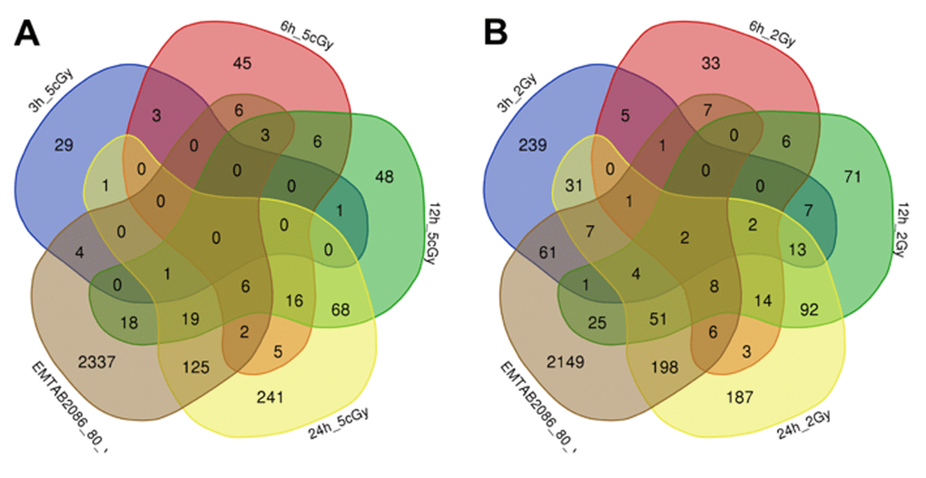 Venn diagrams, illustrating overlapping effects (down-regulated genes) of replicative aging and IR at different times of exposure: 3, 6, 12, 24 hours for the doses 5 cGy (A) and 2 Gy (B). Numbers indicate the amount of common/unique differentially expressed genes for the studied groups (Table S2).