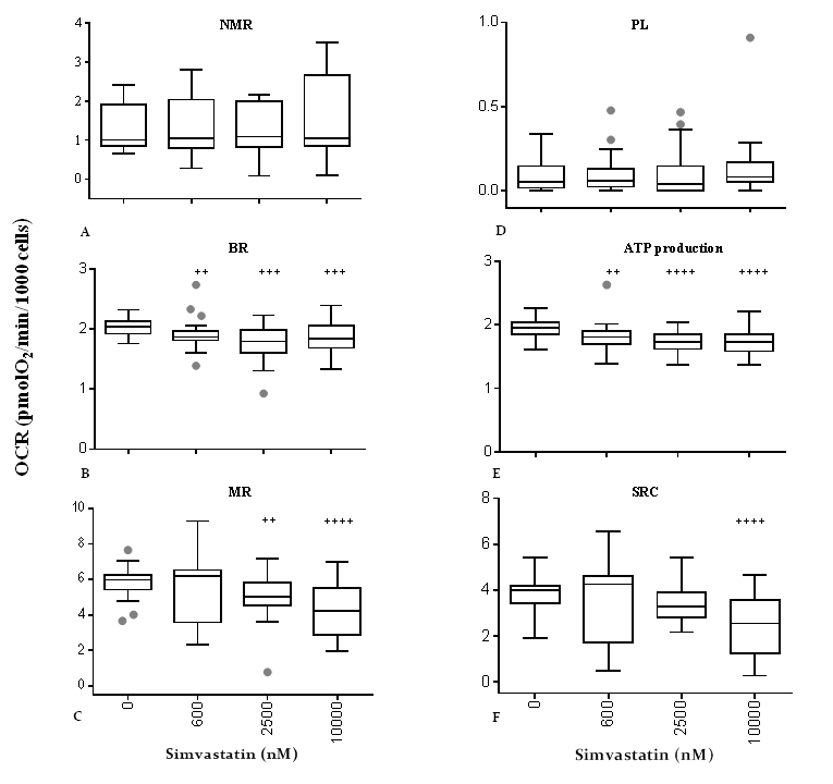 Effect of simvastatin on mitochondrial respiratory indexes. Respiratory profile of human dermal fibroblasts incubated with different concentrations of simvastatin for 72 h. Non-mitochondrial respiration (A), basal respiration (B), maximal respiration (C), proton leakage (D), ATP production (E), spare respiratory capacity (F). Data (n=48) are reported as box-plot values of oxygen consumption rate. Significance difference vs 0 nM + p++ p+++ p++++ p