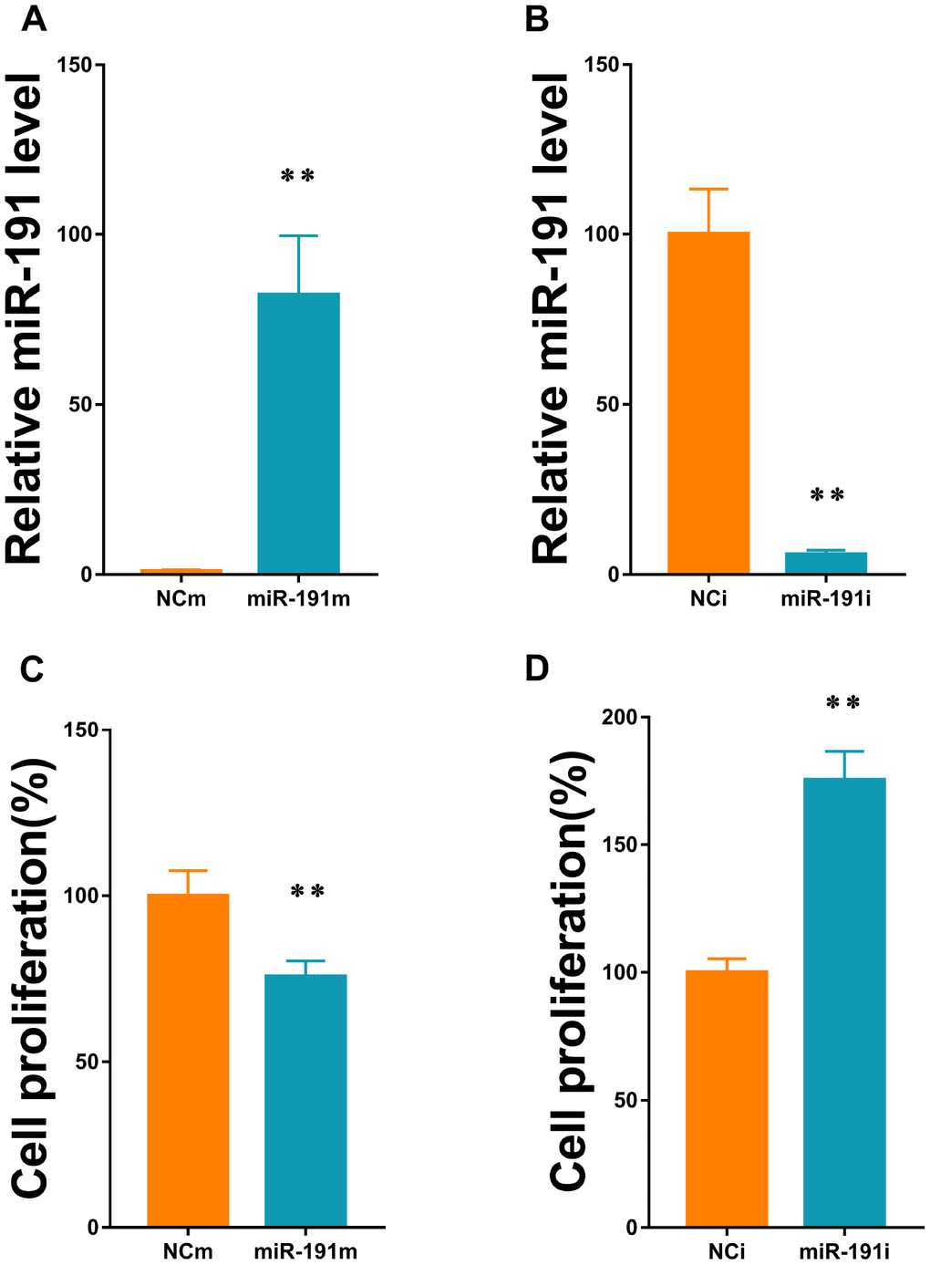 MiR-191 transfection efficiency and cell proliferation. (A, B) Expression level of miR-191 (in fold of NCm or percentage of NCi) in HUVECs that were transfected with miR-191 mimic (A) or miR-191 inhibitor (B) as assessed by real-time PCR (n=6 per group); (C, D) Proliferation (percentage of NCm or NCi) of HUVECs transfected with miR-191 mimic (C) or miR-191 inhibitor (D) as assessed by CCK-8 assay (n =6 per group). After transfection, the cells were reseeded into 96-well plates and incubated for another 48 h. Means ± SEM. ** P