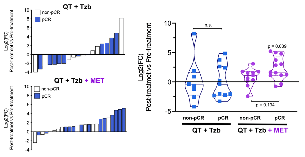 Left. Waterfall plots showing the log2 fold chance of circulating BHBA and correlation with treatment outcomes. Right. Violin plots depicting the log2 fold chance of circulating BHBA in each treatment arm categorized by treatment outcomes. (pCR: pathological complete response; QT: chemotherapy; Tzb: trastuzumab; MET: metformin; p-values by Wilcoxon signed-ranked test).