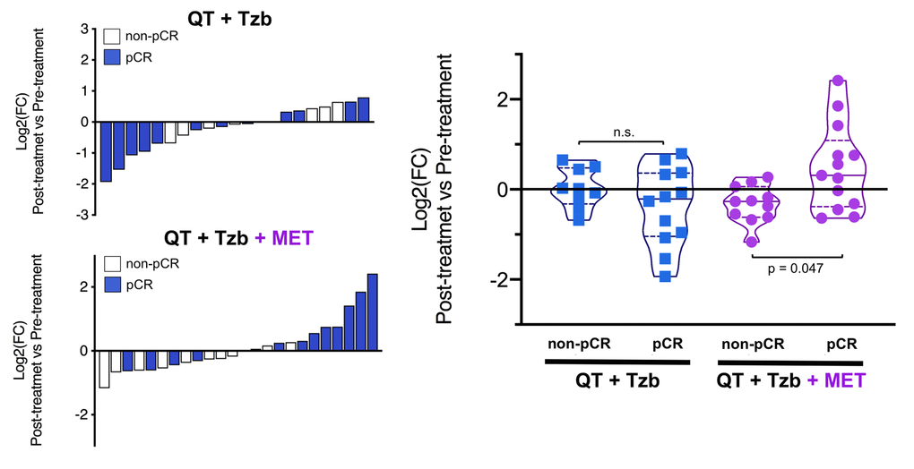 Left. Waterfall plots showing the log2 fold chance of circulating Hcy and correlation with treatment outcomes. Right. Violin plots depicting the log2 fold chance of circulating Hcy in each treatment arm categorized by treatment outcomes. (pCR: pathological complete response; QT: chemotherapy; Tzb: trastuzumab; MET: metformin; p-values by Wilcoxon signed-ranked test).
