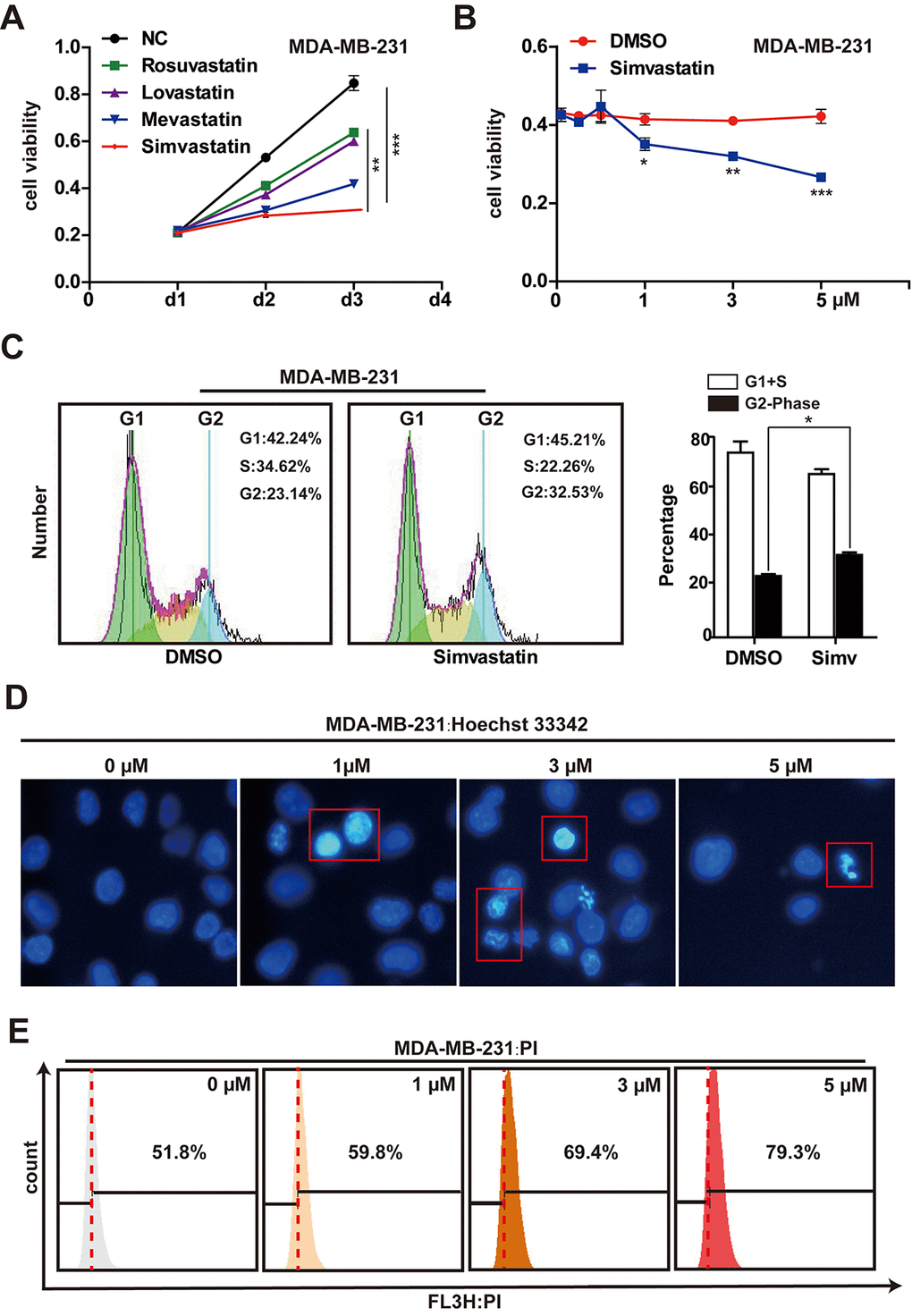 Effects of simvastatin on cell proliferation and cell death in MDA-MB-231 cells. (A) MDA-MB-231 cells were treated with 1µM rosuvastatin, lovastatin, mevastatin or simvastatin for 24h and 48h. (B) MDA-MB-231 cells were treated with varying concentrations (1-5µM) of simvastatin for a period of 48h. All the cell viability (cell proliferation) assays were analyzed by the CCK-8 assay. (C) the effects of simvastatin on the cell cycle were measured by flow cytometry with PI staining. (D) Representative photomicrography of treated MDA-MB-231 cells with varying doses simvastatin showing nuclei fragmentation. (E) MDA-MB-231 were treated with various doses of simvastatin for 48h. Cell death was determined by PI FACS analyses. The percentage of necrotic/apoptosis cells (PI positive) were moved to the right quadrant (Relative to 0µM). The p-values were calculated using standard Student t-tests. Error bars represent mean± SEM of three individual experiments. *** P ≤ 0.001, ** P ≤ 0.01, * P ≤ 0.05.