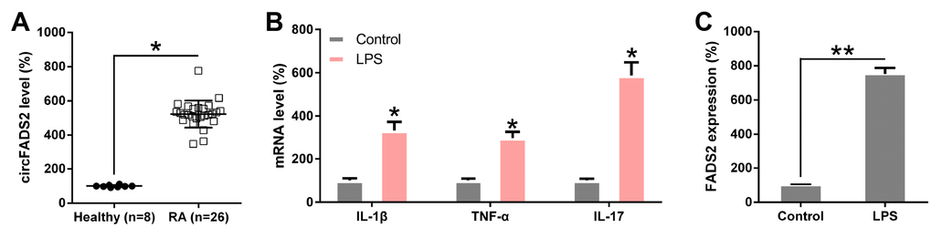 circFADS2 is upregulated in RA patients and LPS-treated chondrocytes. (A) qPCR analysis showing upregulated circFADS2 expression levels in RA patients. (B) qPCR analysis showed expression of IL-1β, TNF-α, and IL-17 in LPS-treated chondrocytes. (C) CircFADS2 levels were significantly augmented in LPS-treated chondrocytes when compared to the control group (non-treated cells). *P P 