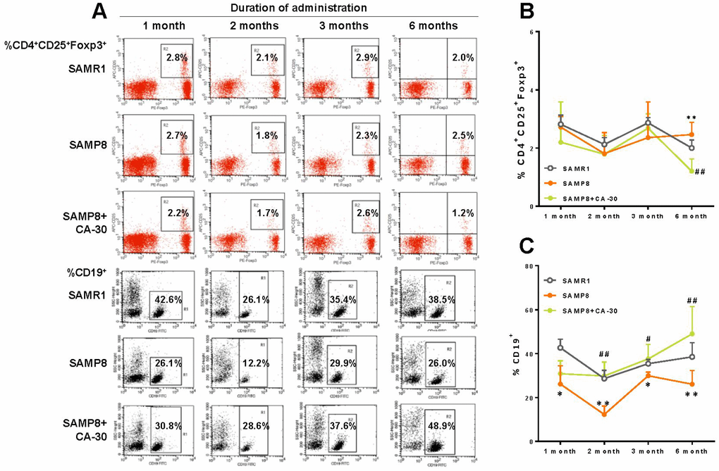 CA-30 corrected aberrant lymphocyte subsets in SAMP8 mice. Representative flow cytometric plots for CD4+CD25+Foxp3+ T cells and CD19+ B cells (A). Flow cytometric quantification of CD4+CD25+Foxp3+ T cells (B) and CD19+ B (C) cells in mouse blood. Approximately 5 × 105 whole blood cells for each mouse were harvested, washed, and incubated with antibodies, then quantified via flow cytometry. *PP#P##Pt-tests and two-way repeated-measures analyses of variance with Tukey multiple comparisons tests. All values are means ± S.D. n=9-11.