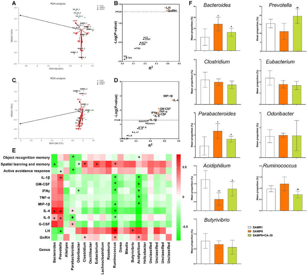 Relationships among cognition, NIM network, and gut microbiome in SAMP8 mice. Redundancy analysis (RDA) of the relationships among the main bacterial Genus, endocrine system hormones (A), and immune system cytokines (C). Correlations between hormones (B), cytokines (D), and main bacterial genus per redundancy analysis. The X and Y axes were derived from R2 and -Log (P), respectively. Bacterial taxa in genus correlated with cognitive performance and levels of hormones and cytokines (*PE). Comparison of the relative abundances of the dominant genus (correlated with NIM network or cognitive performance) in each group (F). *P#P##P