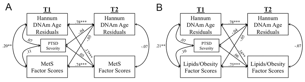 The Figure shows the results of cross-lagged models examining longitudinal associations between Hannum DNAm age residuals and metabolic syndrome (MetS) severity factor scores (A), and Lipids/Obesity factor scores (B). Measures of each marker were residualized on age and sex (applicable to A and B). (***p p p 