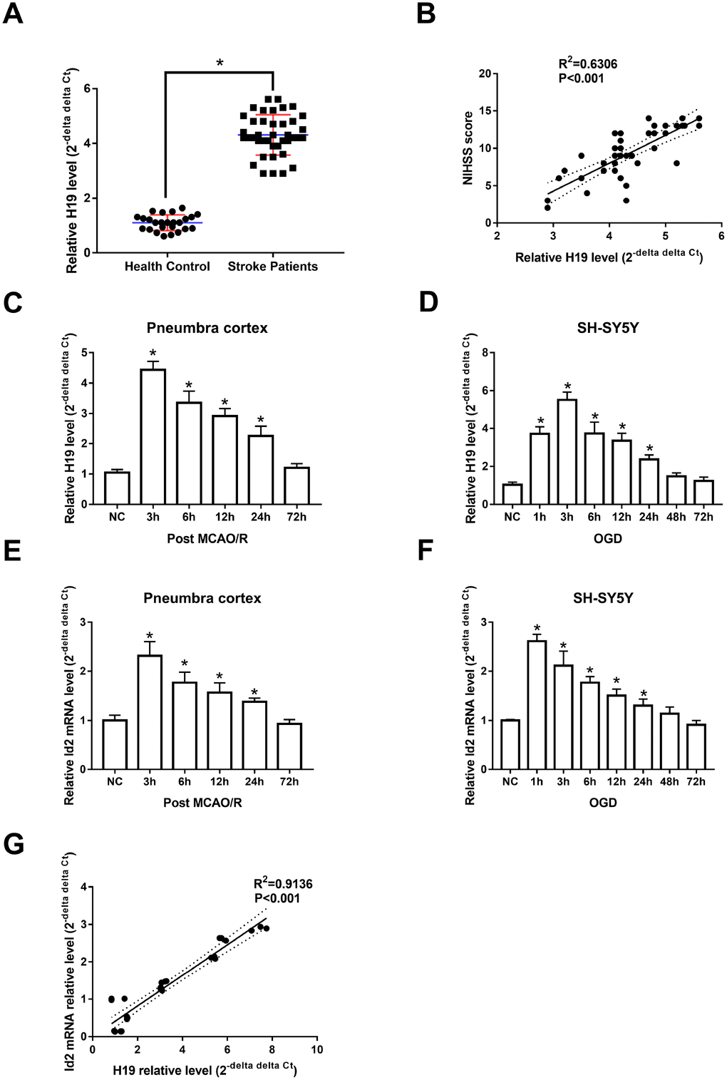 H19 and Id2 expression levels were significantly elevated in the setting of hypoxia/ischemia. (A) qRT-PCR revealed that H19 levels in the plasma of ischemic stroke patients were significantly elevated, compared with normal control patients. (B) The elevated H19 levels were positively correlated with patient NIHSS scores within 3 hours of stroke onset. (C) In the penumbra cortex of rats, H19 levels increased and peaked at 3 h, and returned to normal levels at 72 h after MCAO/R. (D) In OGD neuronal cells, H19 levels showed a similar tendency of in vivo study. (E) qRT-PCR analysis revealed that Id2 mRNA levels in the penumbra cortex of rats increased significantly and peaked at 3 h after MCAO/R in; however, Id2 mRNA levels returned to baseline at 72 h post MCAO/R. (F) Similar results were revealed in OGD neuronal cells. (G) A correlation analysis revealed that Id2 mRNA level was positively correlated with H19 level in OGD neuronal cells.