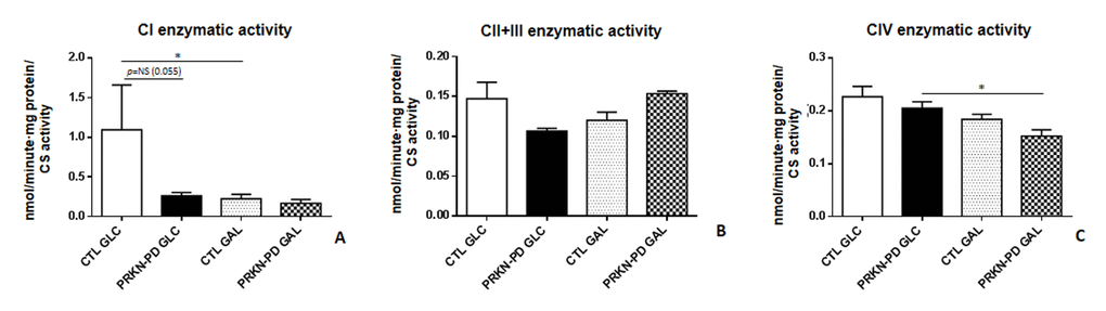 Mitochondrial respiratory chain (MRC) enzymatic activities in control and PRKN-PD fibroblasts. Enzymatic activities of the complexes I (A), II+III (B) and CIV (C) of the MRC. No significant differences were obtained between groups. Exposure to galactose significantly reduced CI-enzymatic activity of control fibroblasts and significantly decreased CIV enzymatic activity of PRKN-PD fibroblasts when compared to glucose. The results were expressed as means and standard error of the mean (SEM). *= p