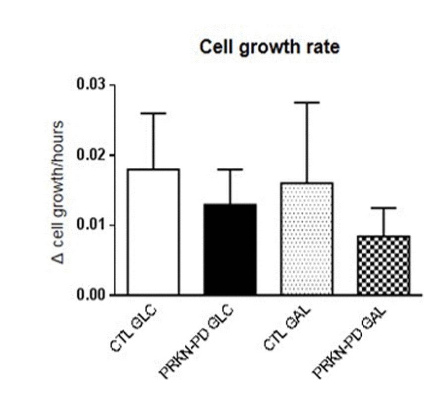 Cell growth rate in control and PRKN-PD fibroblasts. Although not significant, PRKN-PD fibroblasts showed downward trend in cell growth rate in both media. The results are expressed as means and standard error of the mean (SEM). AU= Arbitrary units. CTL= Control fibroblasts. GAL= 10 mM galactose medium. GLC= 25 mM glucose medium. PRKN-PD= Parkin-associated PD fibroblasts.