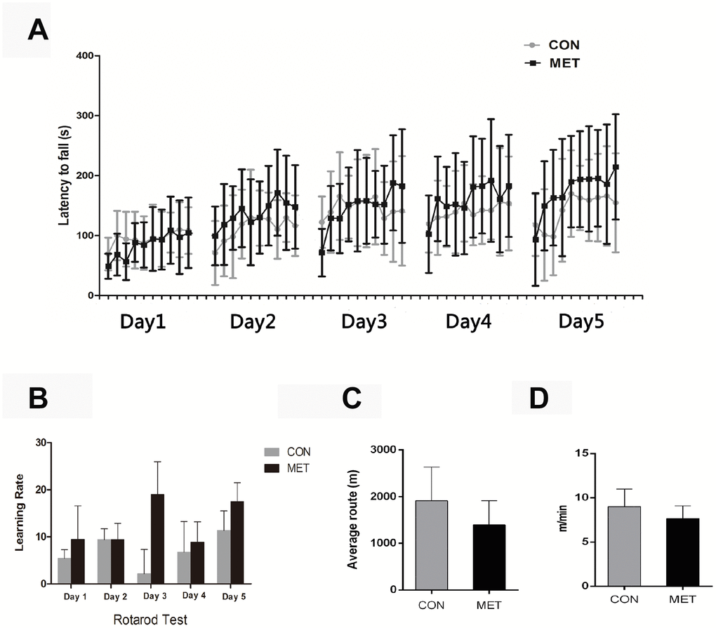 Behavior tests of CON and MET mice after 6-months’ feeding. (A), Rotarod Test; (B), Learning Rate of mice trained on the accelerating rotarod; (C), Open-field Test; (D), Average route of mice in the open-field. Data were represented as mean± S.E.M.
