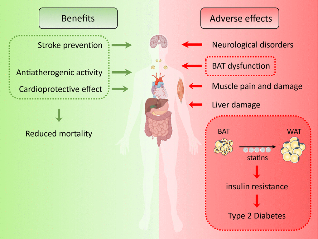 statins-benefits-and-risks-revisited-aging