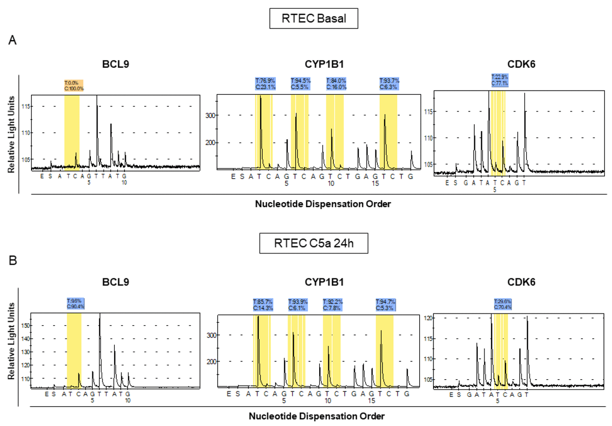 complement-component-c5a-induces-aberrant-epigenetic-modifications-in