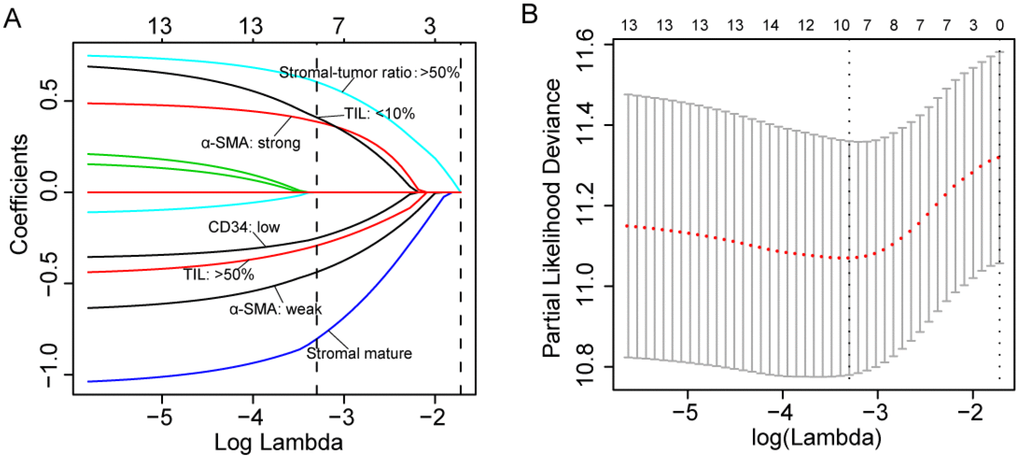 (A) LASSO coefficient profiles of the five selected stromal features. A dashed vertical line is drawn at the value (logγ=-3.3) chosen by 10-fold cross-validation. (B) Partial likelihood deviance for the LASSO coefficient profiles. A light dashed vertical line stands for the minimum partial likelihood deviance. A dashed vertical line stands for the partial likelihood deviance at the value (logγ=-3.3).