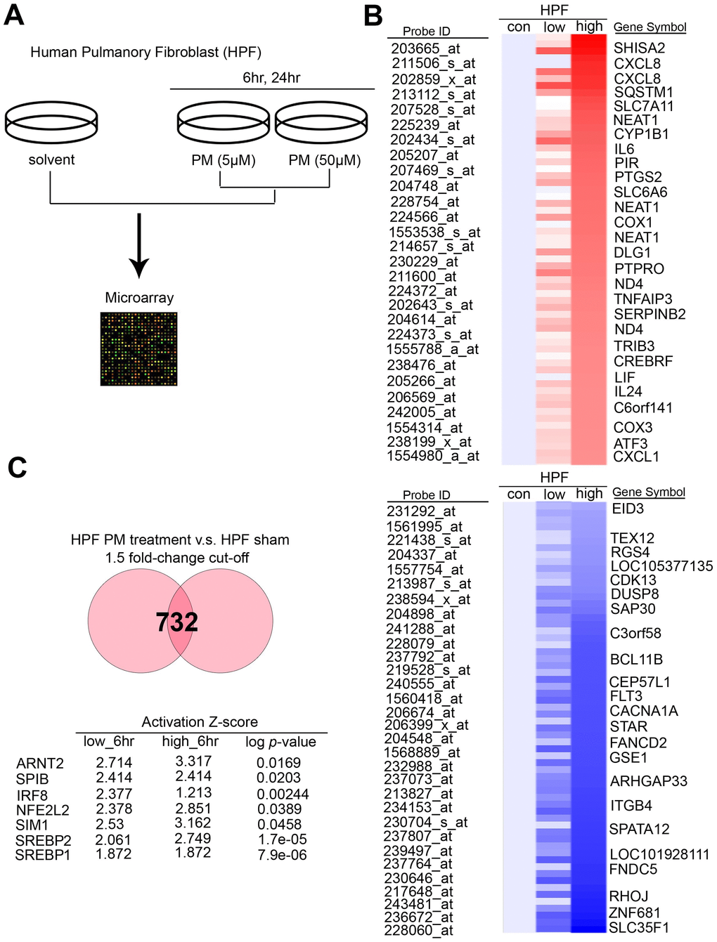 PM induced several potential transcription factors in a dose-dependent manner in normal lung cells. (A) The flowchart represents the procedure of microarray chips established in human pulmonary fibroblasts. (B) Detailed heatmaps highlight the significantly up- and down-regulated genes after PM treatment, that were normalized gene expression from the microarray database analysis. (C) The ranking of candidate transcription factors by IPA database of microarray from PM treatment compared with the sham group in human pulmonary fibroblasts. The cut-off was a 1.5-fold change.