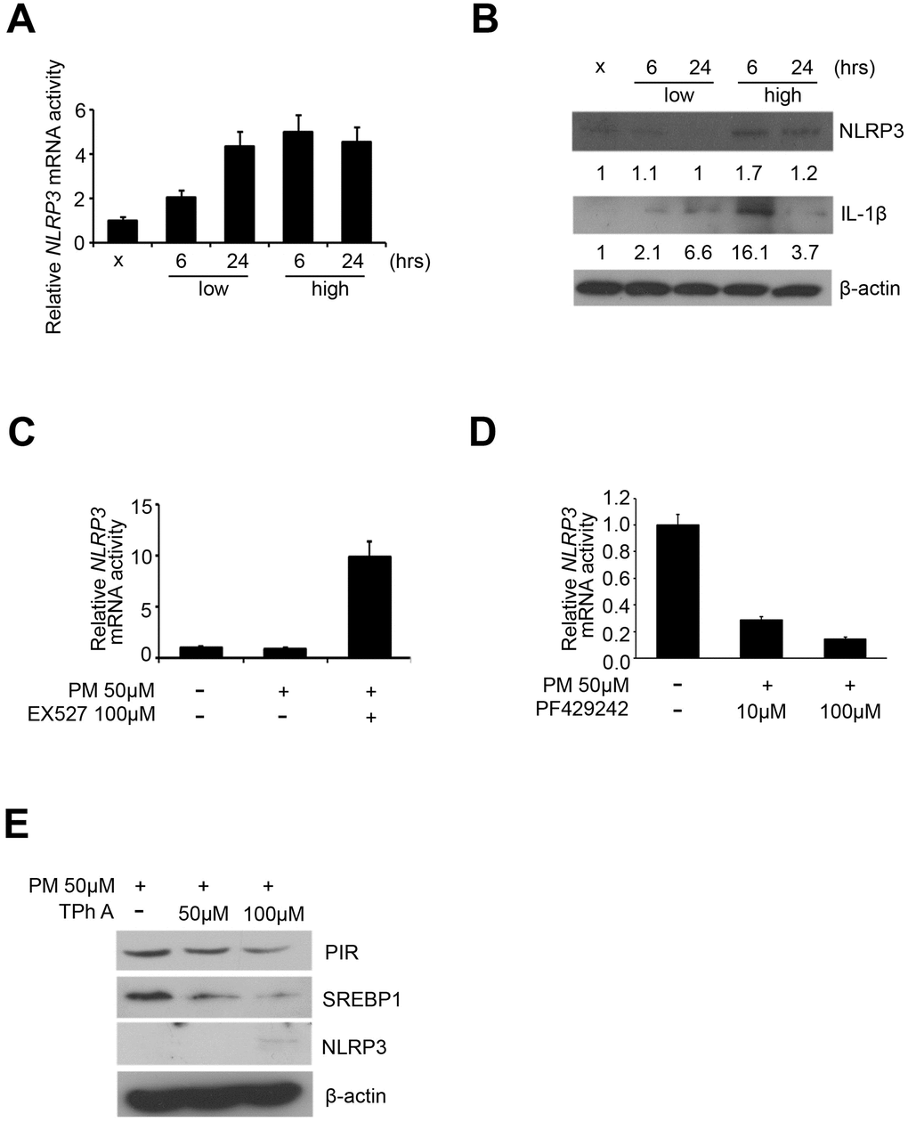 NLRP3 inflammasome was upregulated by PM exposure. (A) mRNA level of NLRP3 after PM in HPF. (B) Western blot analysis of NLRP3 and IL-1β after PM in HPF. (C) mRNA level of NLRP3 in Ex527-PM co-treated HPF models. (D) mRNA levels of NLRP3 in PF429242-PM co-treated HPF models. (E) Western blot analysis of PIR, SREBP1, and NLRP3 in TPh A-PM co-treated HPF models.
