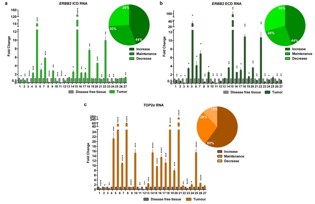 The RNA levels of the EBB2 ICD and ECD and TOP2α are altered in the majority of the FMTs. Fold change of Erbb2 ICD (a) and ECD (b) RNA regions and TOP2α RNA (c) quantified by real-time RT-qPCR in FMTs and compared with disease-free tissue collected from the same donor. The percentage of tumors with an increase, maintenance or decrease in the ERBB2 ICD (a), ECD (b) and TOP2α (c) RNA levels is also presented, in the upper right corner of each graph. Values are mean ± SD of three replicates. *p≤0.05, **p≤0.01, ***p≤0.001, ****p≤0.0001 are determined by Student’s t-test.