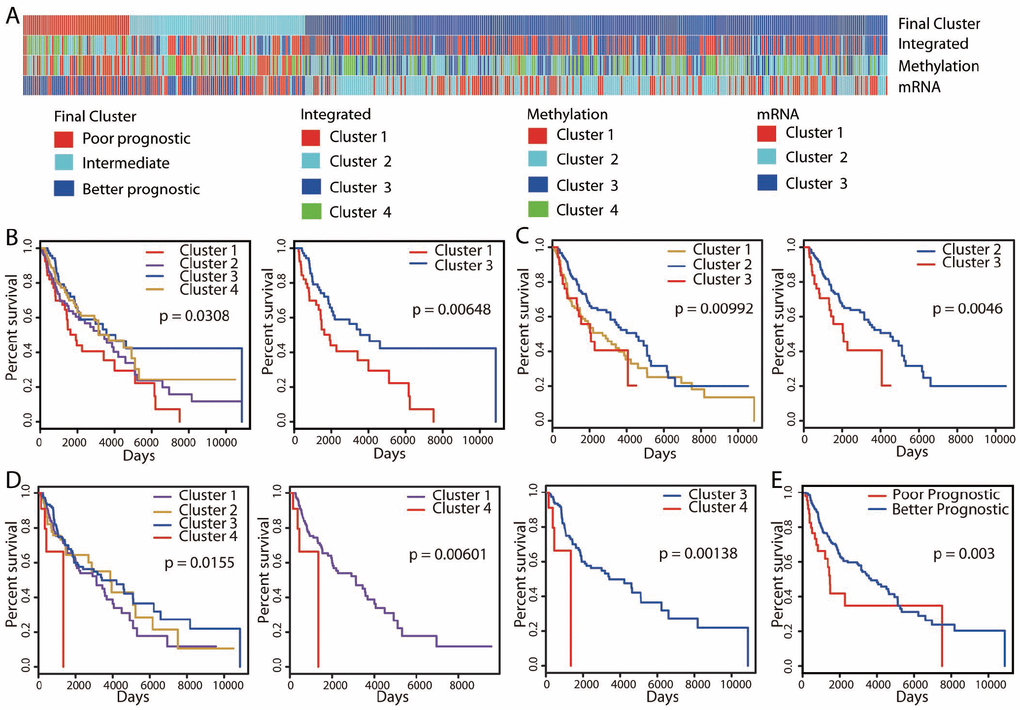 Unsupervised clustering of 447 cutaneous melanoma patients and identification of the better prognostic group. (A) Integrative clustering (“Integrated”) based on three omics datasets (methylation, mRNA-seq and miRNA-seq) identified four clusters. Clustering analyses of methylation and mRNA-seq data divided patients into four clusters (“Methylation”) and three clusters (“mRNA”), respectively. Kaplan-Meier OS curves are shown for the clusters identified by the “Methylation” (B), “mRNA” (C) and “Integrated” (D) classifications. Patients were pooled into the better prognostic group if they exhibited significantly (P A), and the associated Kaplan-Meier OS curve is shown in (E).