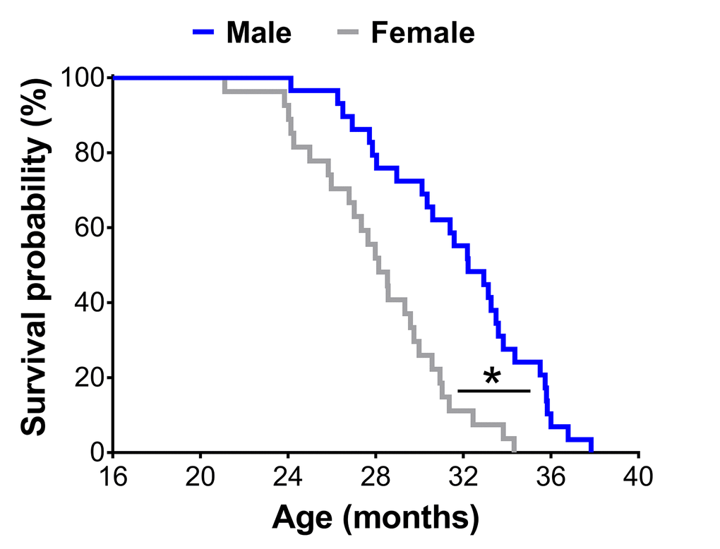 Survival curves of male (n=29) and female (n=27) C57BL/6 mice in the original cohort. * Significant difference between sex (p≤0.05).