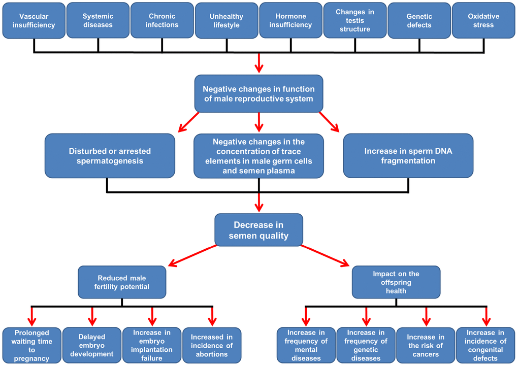 Insight into oxidative stress in varicocele-associated male