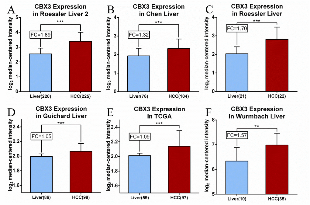 CBX3/HP1γ mRNA expression is elevated in liver cancer compared to normal tissues. Expression levels are shown for the (A) Roessler Liver 2, (B) Chen Liver, (C) Roessler Liver, (D) Guichard Liver, (E) TCGA and (F) Wurmbach Liver datasets. CBX3 mRNA levels are shown as log2 median-centered intensity values. **P