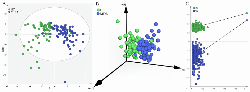 Metabolomic analysis of urine samples from the middle-aged populations. (A) OPLS-DA model showed an obvious separation between middle-aged HCs (green circle) and middle-aged MDD patients (blue circle); (B) 3D view also showed an obvious separation between middle-aged HCs (green sphere) and middle-aged MDD patients (blue sphere); (C) the permutation test suggested the validity of the model, as the Q2 and R2 values yielded by the permutation test (left bottom) were lower than their original values (upper right).