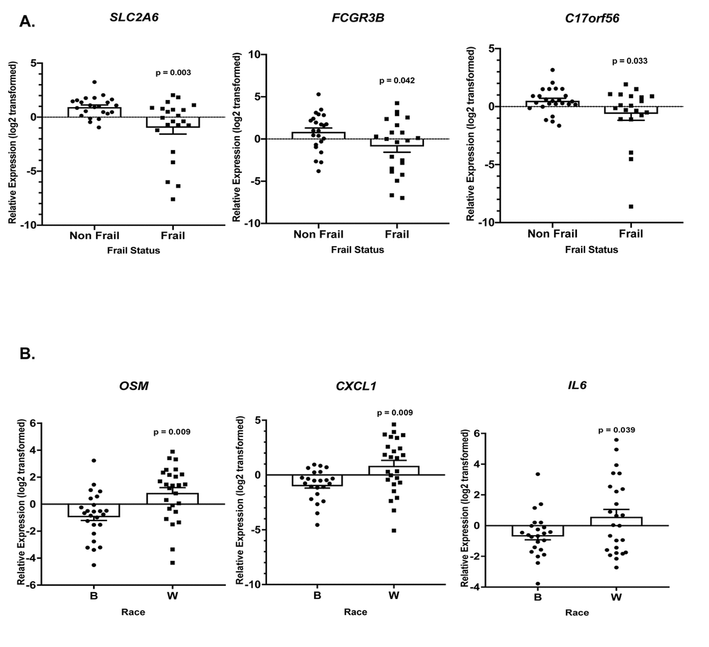 Frailty and race-associated changes in gene expression in the validation cohort. Total RNA was isolated from PBMCs from non-frail and frail blacks and whites in the validation cohort (Table 1B; n=52). Gene expression was analyzed using RT-qPCR with gene specific primers (Refer to Supplementary Table 6). The scatter plots show the relative expression (log2 transformed) in non-frail vs frail (A) and blacks (B) vs whites (W) in this same cohort (B). The open bars represent the mean and error bars show standard error of the mean. Significance was determined using linear regression models on the log2 transformed values.