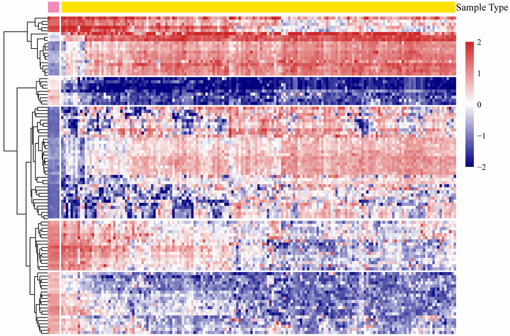 The heatmap expression profiles of the most significant 100 genes.