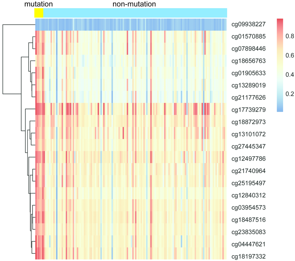 The heatmap of IDH1 mutation and DNA methylation in GBM.