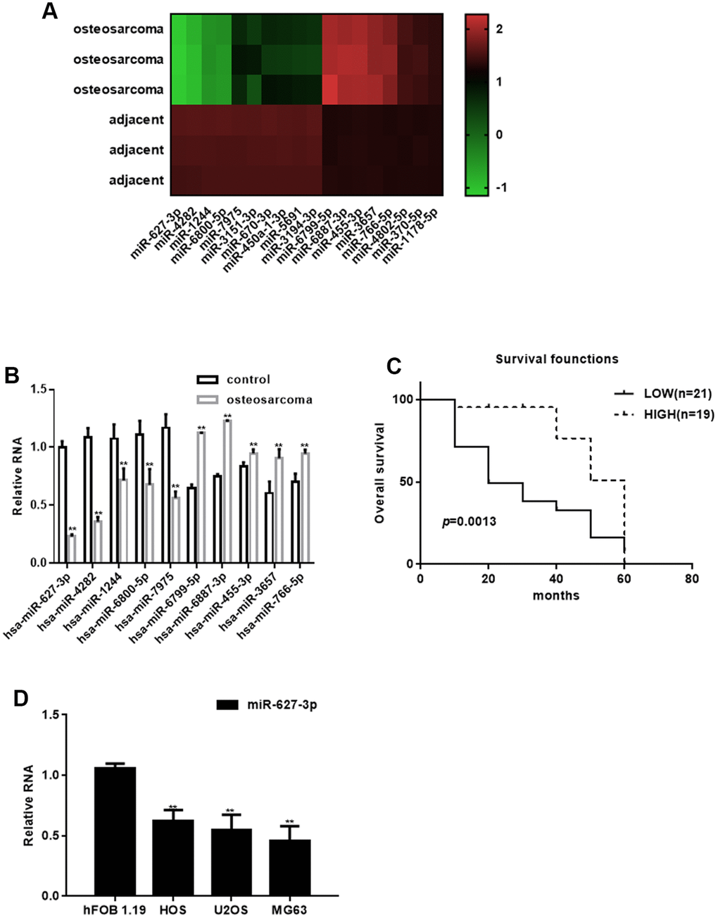 Identification of differentially expressed miRNAs in osteosarcoma. (A) Heat map summarizing the results of a microarray analysis. (B) Real time PCR analysis of miRNA expression in osteosarcoma tissues and adjacent tissues. ** PC) Relationship between miR-627-3p expression and the survival period among osteosarcoma patients. (D) Real time PCR analysis of miR-627-3p expression in hFOB 1.19, HOS, U2OS and MG63 cells. ** P