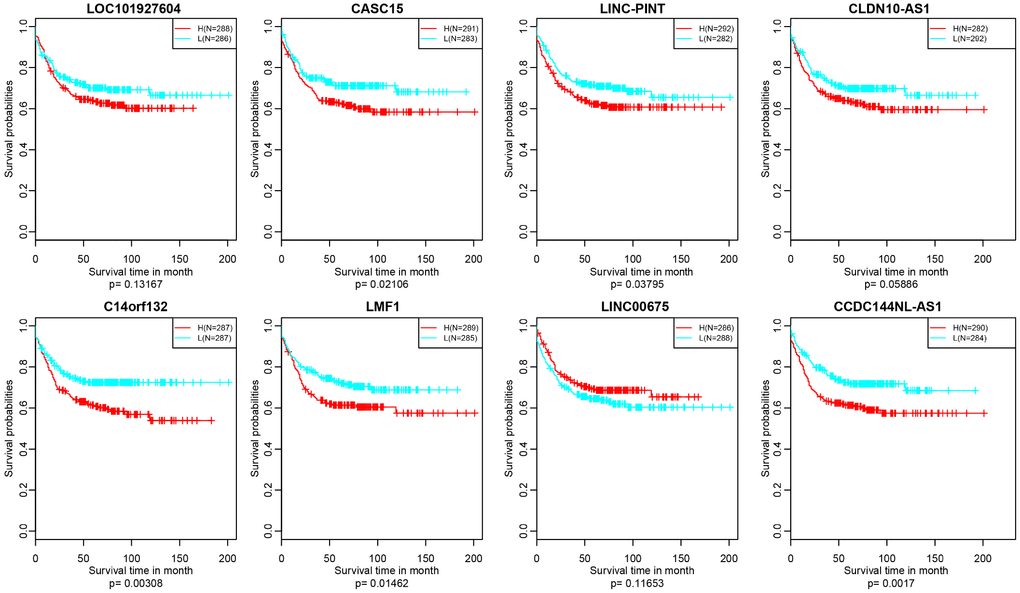 Kaplan–Meier plot analysis shows relapse-free survival (RFS) validated in GEO datasets (p