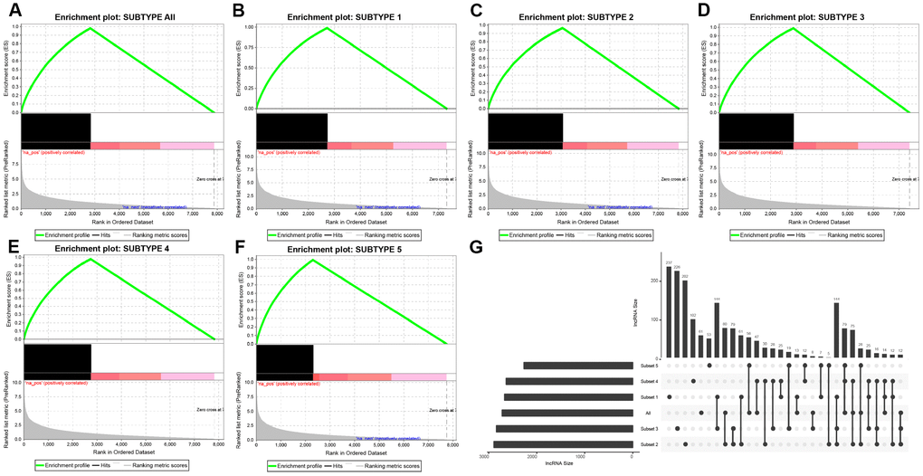 Distribution condition of DE-lncRNAs in subtypes. (A–F) GSEA analysis shows different enrichment states among these five subtypes (subtype 1, 2, 3, 4, 5) and tumors and adjacent normal tissues (named “subtype all”) based on difference multiple. The enriched lncRNAs are mainly focused on the left (presented as black bulks), which referring to larger difference multiple. (G) The overlapped lncRNAs exist in subtypes. The dot represents subtype and the line represents the overlapped lncRNAs across subtypes. LncRNA size points to the amount of DE-lncRNAs.