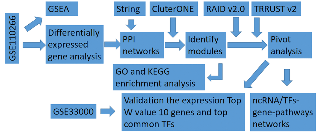Flowchart in this study. GSEA, gene set enrichment analysis; ncRNA, non-coding RNA; PPI, protein-protein interaction; TF, transcription factor.