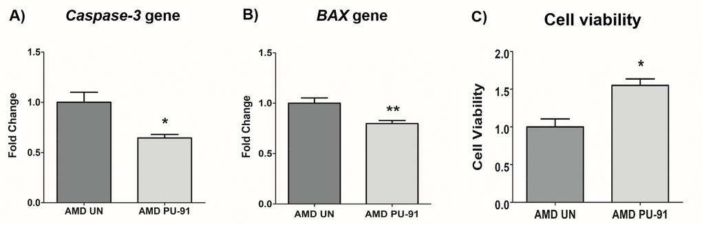 PU-91 regulates apoptotic cell death. qRT-PCR analysis showed downregulation of apoptotic genes such as Caspase-3 (p≤0.05, n=4) (A) and BAX (p≤0.05, n=4) (B) in AMD cybrids treated with PU-91. Using the MTT assay, it was observed that PU-91-treated AMD cybrids had a higher number of viable cells compared to the untreated group (p≤0.05, n=4) (C). Data are presented as mean ± SEM and normalized to untreated (UN) AMD cybrids which were assigned a value of 1. Mann-Whitney test was used to measure statistical differences; *p≤0.05, **p≤0.01.
