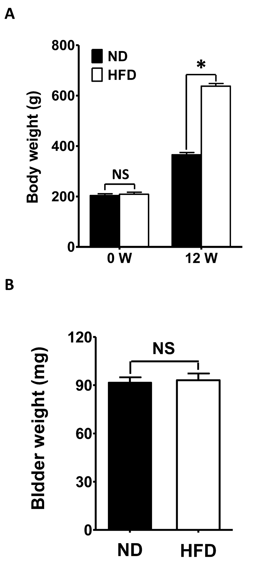 Changes in bodyweight. (A) The bodyweights before and after 12 weeks of feeding were compared between HFD rats and ND rats. (B) The bladder weights were compared between ND and HFD rats after 12 weeks of feeding. Data are expressed as the mean ± SEM, N = 40 per group, * P NS: not significant.